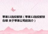 苹果11指纹解锁（苹果11指纹解锁在哪 关于苹果公司的简介）