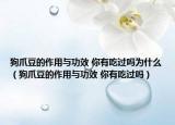 狗爪豆的作用与功效 你有吃过吗为什么（狗爪豆的作用与功效 你有吃过吗）