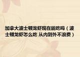 加拿大波士顿龙虾现在能吃吗（波士顿龙虾怎么吃 从内到外不浪费）