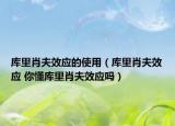 库里肖夫效应的使用（库里肖夫效应 你懂库里肖夫效应吗）