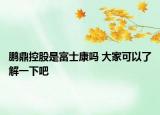 鹏鼎控股是富士康吗 大家可以了解一下吧