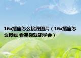 16a插座怎么接线图片（16a插座怎么接线 看完你就能学会）