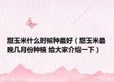甜玉米什么时候种最好（甜玉米最晚几月份种植 给大家介绍一下）