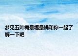 梦见五叶梅是福是祸和你一起了解一下吧