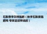 石斛春季怎样施肥（秋季石斛要施肥吗 专家是这样说的）