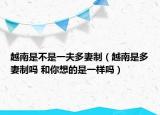 越南是不是一夫多妻制（越南是多妻制吗 和你想的是一样吗）