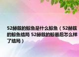 52赫兹的鲸鱼是什么鲸鱼（52赫兹的鲸鱼结局 52赫兹的鲸最后怎么样了结局）