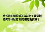 秋天栽的葡萄树怎么过冬（葡萄树冬天怎样过冬 如何很好地抗寒）