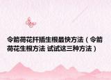令箭荷花扦插生根最快方法（令箭荷花生根方法 试试这三种方法）