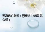 死寂逃亡剧透（死寂逃亡结局 怎么样）