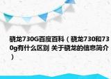 骁龙730G百度百科（骁龙730和730g有什么区别 关于骁龙的信息简介）