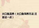 火口鱼混养（火口鱼饲养方法 注意这一点）