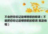 不会把你忘记是哪首歌的歌词（不能把你忘记是哪首歌的歌词 就是他啦）