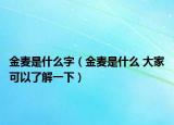 金麦是什么字（金麦是什么 大家可以了解一下）