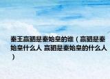 秦王赢驷是秦始皇的谁（赢驷是秦始皇什么人 赢驷是秦始皇的什么人）