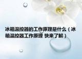 冰箱温控器的工作原理是什么（冰箱温控器工作原理 快来了解）