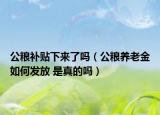 公粮补贴下来了吗（公粮养老金如何发放 是真的吗）