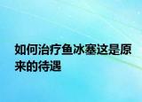 如何治疗鱼冰塞这是原来的待遇