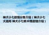 神犬小七剧情分集介绍（神犬小七大结局 神犬小七第38集剧情介绍）
