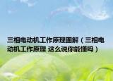 三相电动机工作原理图解（三相电动机工作原理 这么说你能懂吗）