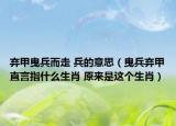 弃甲曳兵而走 兵的意思（曳兵弃甲直言指什么生肖 原来是这个生肖）