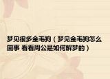 梦见很多金毛狗（梦见金毛狗怎么回事 看看周公是如何解梦的）