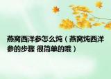 燕窝西洋参怎么炖（燕窝炖西洋参的步骤 很简单的哦）