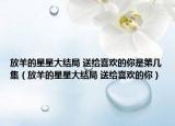 放羊的星星大结局 送给喜欢的你是第几集（放羊的星星大结局 送给喜欢的你）