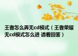 王者怎么弄无cd模式（王者荣耀无cd模式怎么进 请看回答）