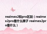 realmex2和pro区别（realmex2pro是什么牌子 realmex2pro是什么）