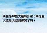 两生花40集大结局介绍（两花生大结局 大结局你哭了吗）