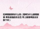 给鹰戴眼罩有什么用（猎鹰为什么要戴眼罩 鹰有很强的攻击性 带上眼罩鹰就会安静下来）