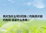 亮片为什么可以钓鱼（钓鱼亮片能钓鱼吗 这是什么东西）