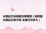 水草缸灯光需要注意事项（如何看水草缸灯够不够 水草灯开多久）