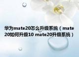 华为mate20怎么升级系统（mate20如何升级10 mate20升级系统）