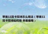 苹果11双卡双待怎么用法（苹果11双卡双待如何用 来看看咯）
