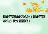 墙皮开裂掉皮怎么补（墙皮开裂怎么办 快来看看吧）