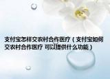 支付宝怎样交农村合作医疗（支付宝如何交农村合作医疗 可以提供什么功能）