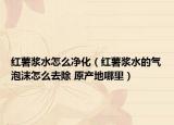 红薯浆水怎么净化（红薯浆水的气泡沫怎么去除 原产地哪里）