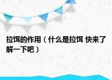 拉饵的作用（什么是拉饵 快来了解一下吧）