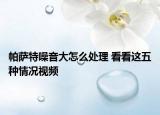 帕萨特噪音大怎么处理 看看这五种情况视频