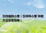 怎样栽种小葱（怎样种小葱 种植方法非常简单）