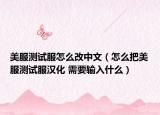 美服测试服怎么改中文（怎么把美服测试服汉化 需要输入什么）