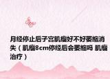 月经停止后子宫肌瘤好不好萎缩消失（肌瘤8cm停经后会萎缩吗 肌瘤治疗）