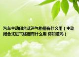 汽车主动闭合式进气格栅有什么用（主动闭合式进气格栅有什么用 你知道吗）
