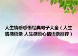 人生情感感悟经典句子大全（人生情感语录 人生感悟心情语录推荐）