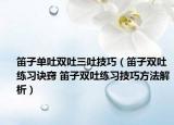 笛子单吐双吐三吐技巧（笛子双吐练习诀窍 笛子双吐练习技巧方法解析）