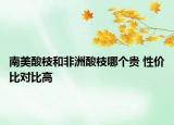南美酸枝和非洲酸枝哪个贵 性价比对比高