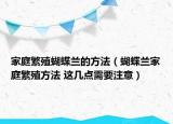 家庭繁殖蝴蝶兰的方法（蝴蝶兰家庭繁殖方法 这几点需要注意）