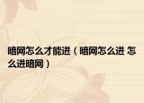 暗网怎么才能进（暗网怎么进 怎么进暗网）